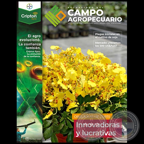 CAMPO AGROPECUARIO - AÑO 20 - NÚMERO 232 - OCTUBRE 2020 - REVISTA DIGITAL